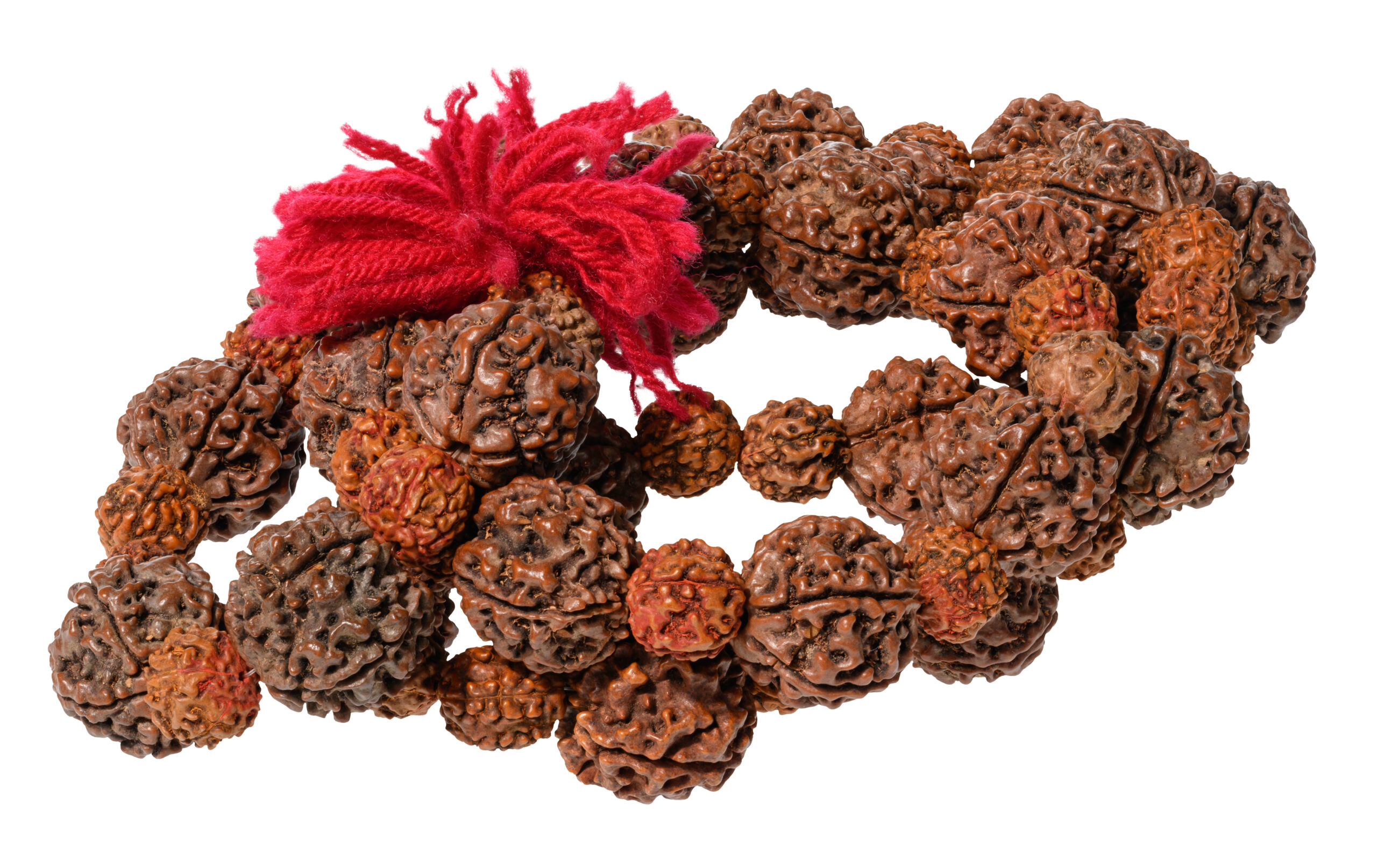 Rudraksha beads, a traditional accessory for meditation and spiritual practices made of natural seeds strung on a thread, with a red tassel at the end. Used for counting mantras and prayers